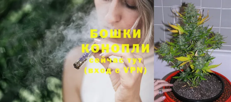 МАРИХУАНА SATIVA & INDICA  Сортавала 